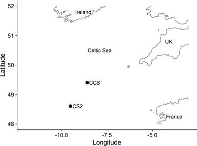 Competitive Interactions Between Microbial Siderophores and Humic-Like Binding Sites in European Shelf Sea Waters